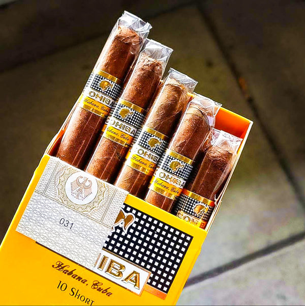 Cohiba Short Cigarillos - Pack of 10