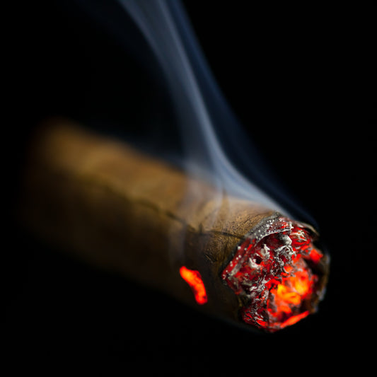 The Ultimate Guide to the Best Cigars for Beginners in India